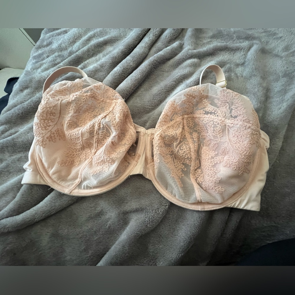 Natori bra 38G.